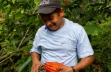 Cacao Cerro La Vieja logra primera certificación Bird Friendly en Panamá