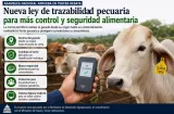 ¡Cuatreros en la mira! Nueva ley les cierra el cerco