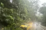 Fuertes lluvias provocan deslizamientos y daños en Colón