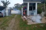 Dengue bajo control en Coclé, pero hay alerta por las lluvias