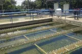 Cloro obliga a parar planta en Chilibre: servicio vuelve poco a poco