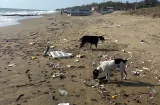 Playas santeñas afectadas por corrientes llenas de basura