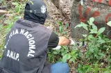 La delincuencia y la inseguridad avanza en Los Santos