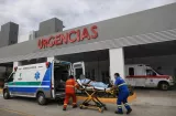 Balean joven en el patio de su casa en Bella Vista, Colón