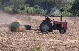 Azuero al límite: la sequía golpea fuerte y productores encienden las alarmas