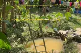 Niño cae en un pozo en el patio trasero de su casa y se ahoga