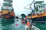 AMP investiga hundimiento del “Anchovetas II”
