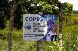 COPEG pide no bajar la guardia y mantener controles ante al gusano barrenador