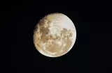  NASA y Blue Origin iniciarán este año la construcción de una base en la Luna