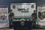 Decomisan Más de $53 mil ocultos en una caja fuerte de una casa en Chepo