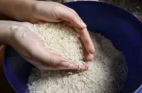 ANALMO respalda medidas para garantizar el abastecimiento de arroz