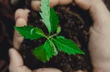 Universidad de Panamá valida herramienta clave para medir conciencia ambiental