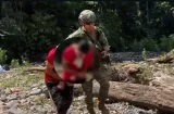 Golpe al Clan del Golfo: Caen seis colombianos por minería ilegal en Darién