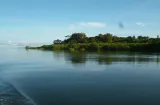 Mariato y Golfo de Montijo los paraísos de Veraguas que exigen mayor impulso