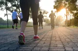 ¡No necesitas un gimnasio! El secreto para transformar tu salud caminando