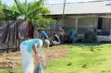 Guna Yala: Masiva jornada de limpieza para combatir el dengue y la malaria