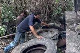 “Cochinos” dejan más de 30 llantas en área protegida de Colón