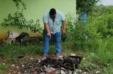 Hallan cachorro calcinado: investigan si murió en el fuego