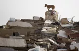 Venezuela confirma 589 fallecidos por terremotos, la cifra sigue aumentando
