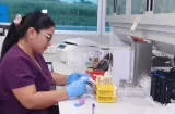 Panamá destaca con 400 trasplantes de células madre