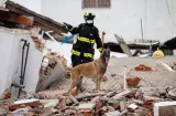 Muertos por terremotos se elevan a 1,450