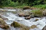 El agua en Panamá: un tesoro mal gestionado que exige soluciones urgentes