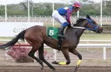 Inicia hoy la batalla rumbo a la Serie Hípica del Caribe