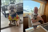 ¡Vuela alto Bruno! Muere el compañero de mil batallas