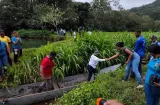 Reforestación en Colón: Buscan proteger la cuenca del río Cascajal