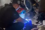 Operación Mamba deja 7 detenidos y un arma decomisada en Colón