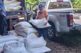 Fertilizantes llegan a productores de Panamá Este para impulsar cosechas