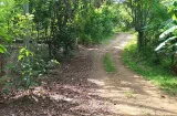 Comunidades de Herrera y Veraguas amenazan con cierre de la vía Atalaya-Mariato