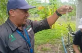Dengue suma 3,345 casos en Panamá, pero bajan las hospitalizaciones