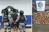 Futuro en riesgo: decomisan 119 huevos de tortuga en Isla Colón