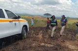 Chiriquí lidera las denuncias por hurto pecuario en el país, advierte ANAGAN