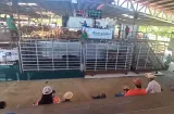 Vender para no perderlo todo: El drama ganadero en Azuero