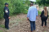 Cuelgan a 4 perras de un árbol en Los Santos 