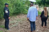 MP confirma investigación por cruel matanza de cachorras en El Carate