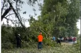 Vientos y lluvias dejan casas dañadas y árboles caídos en Panamá