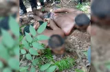 Como iguanas": cayeron "Mata Sapo" y "Potongo" en San Joaquín