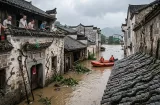 ¡Pesadilla en China! Inundaciones causan la fuga de 900 serpientes