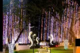 Alcaldía licita alumbrado navideño de $3.3 millones 
