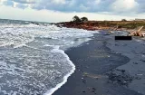 Hallan cadáver en descomposición en Playa Colorada: ¿quién será?