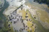 ¡Alerta climática! La ONU dará $100 millones por El Niño pero no basta