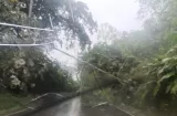 ¡Glu, glu, glu! Alerta por lluvias, descargas eléctricas y oleajes