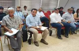 ¡Sin subsidios! Productores y molineros negocian precio del arroz
