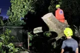 Fuerte aguacero en Santiago deja afectaciones y árboles caídos
