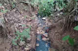 Imputan a promotor por presunta contaminación en río Duque