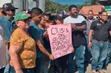 Azuero: Porcicultores exigen exportar cerdos ante sobreoferta