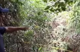Búsqueda terminan con hallazgo del cadáver de desparecido La Pintada